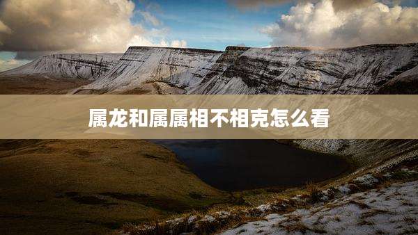 属龙和属属相不相克怎么看