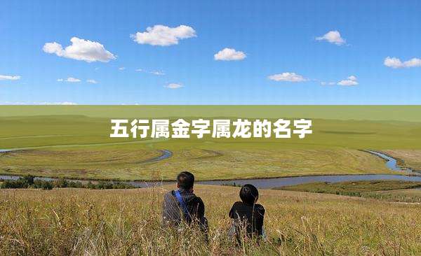 五行属金字属龙的名字