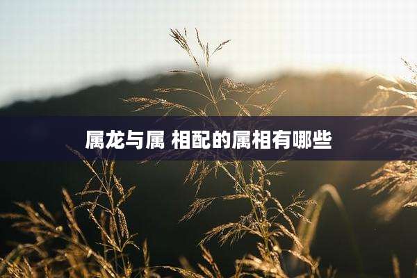 属龙与属 相配的属相有哪些