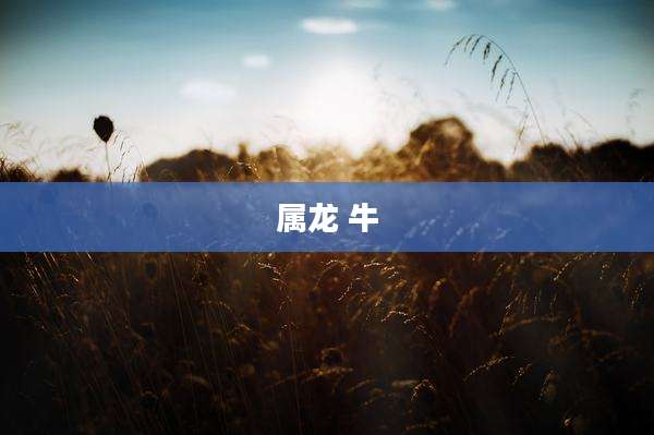 属龙 牛