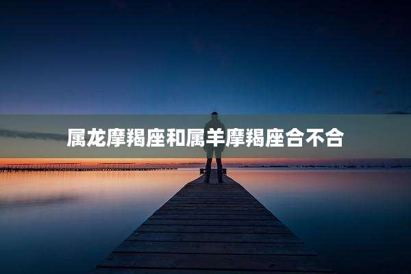 属龙摩羯座和属羊摩羯座合不合