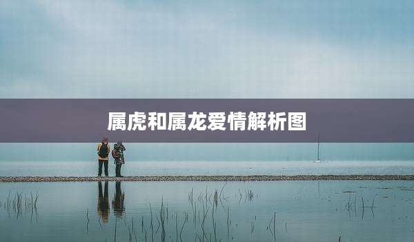 属虎和属龙爱情解析图