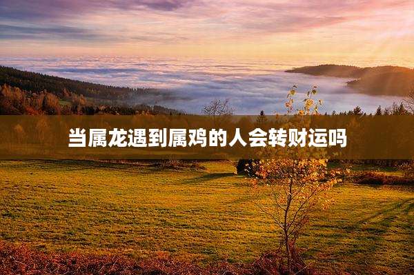 当属龙遇到属鸡的人会转财运吗