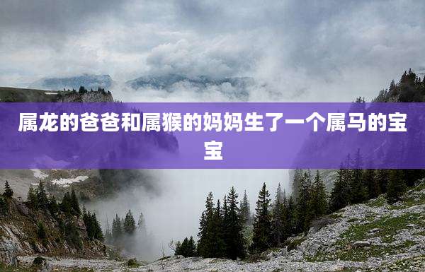 属龙的爸爸和属猴的妈妈生了一个属马的宝宝