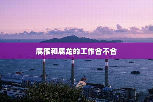 属猴和属龙的工作合不合