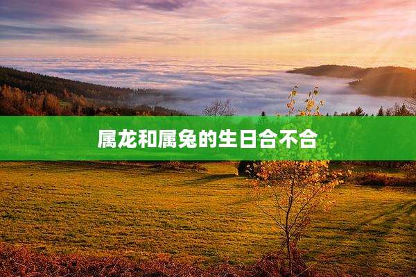 属龙和属兔的生日合不合