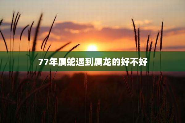 77年属蛇遇到属龙的好不好