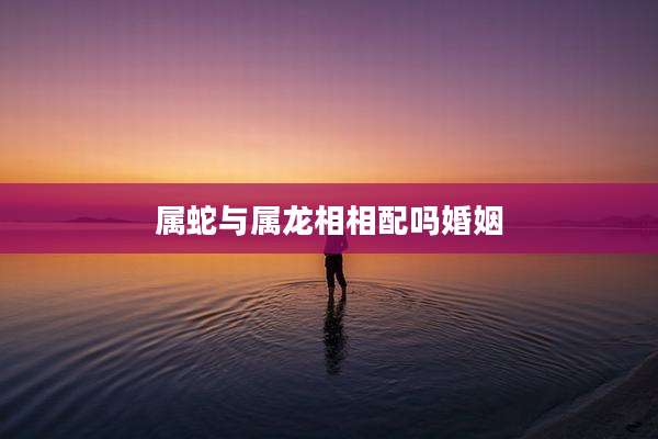 属蛇与属龙相相配吗婚姻