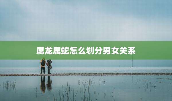 属龙属蛇怎么划分男女关系