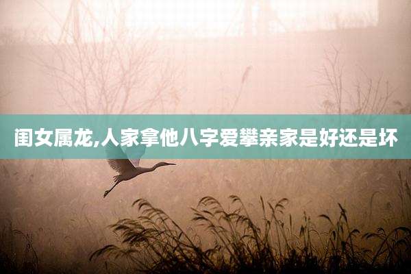 闺女属龙,人家拿他八字爱攀亲家是好还是坏