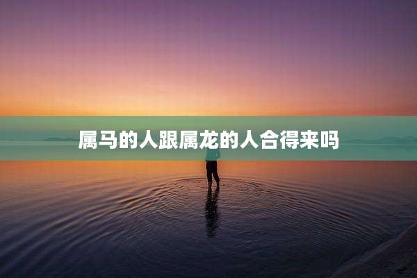 属马的人跟属龙的人合得来吗