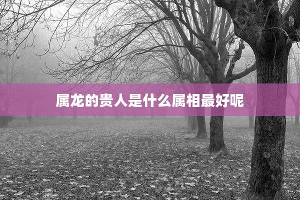 属龙的贵人是什么属相最好呢