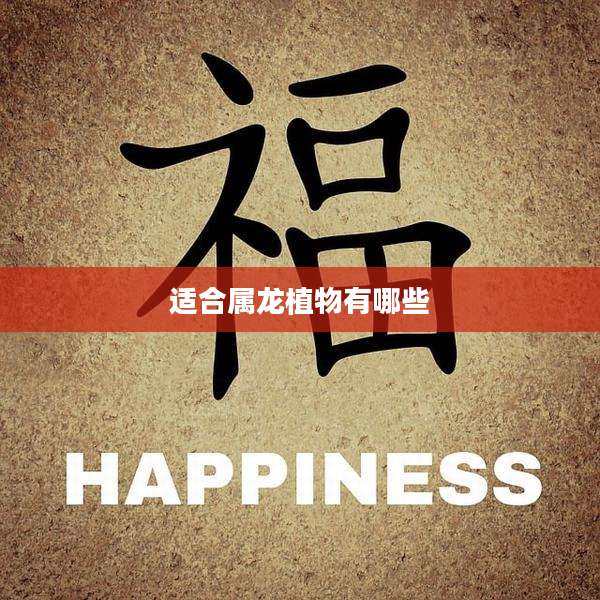 适合属龙植物有哪些