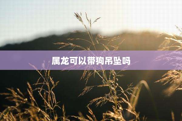 属龙可以带狗吊坠吗