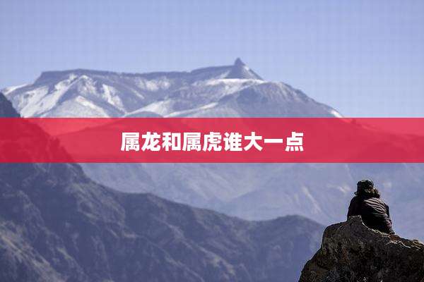 属龙和属虎谁大一点