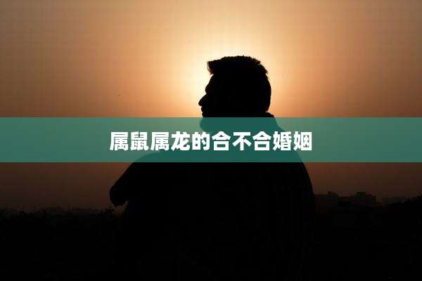 属鼠属龙的合不合婚姻