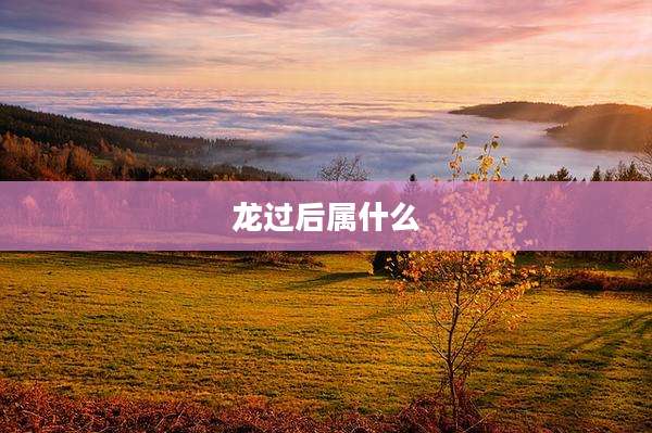 龙过后属什么