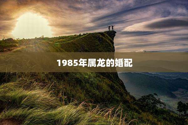 1985年属龙的婚配