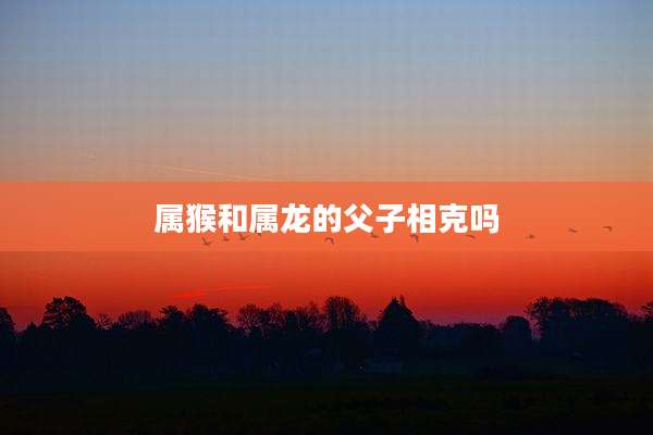 属猴和属龙的父子相克吗