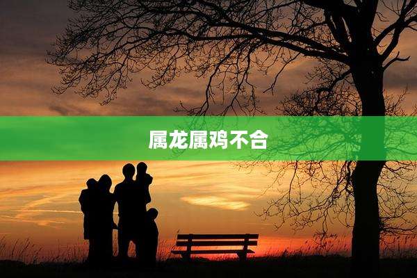 属龙属鸡不合