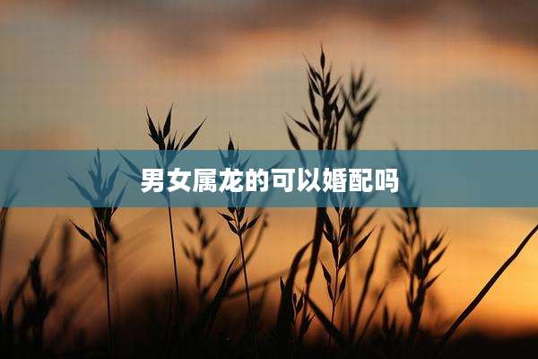 男女属龙的可以婚配吗