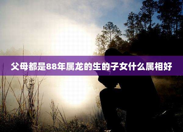 父母都是88年属龙的生的子女什么属相好