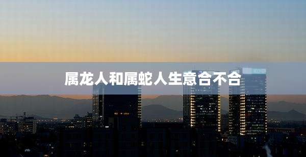 属龙人和属蛇人生意合不合