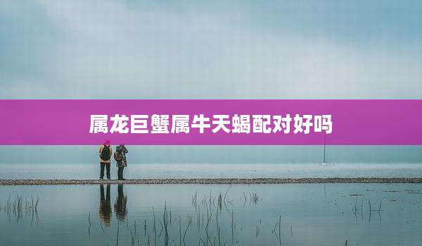 属龙巨蟹属牛天蝎配对好吗