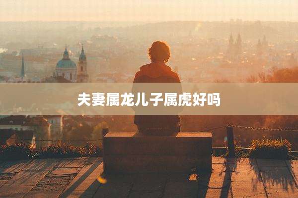 夫妻属龙儿子属虎好吗