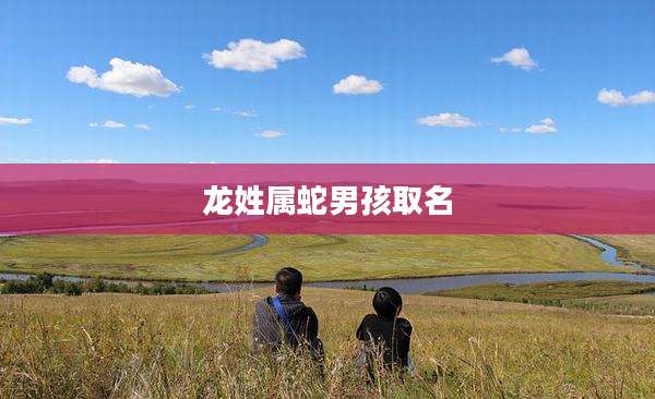 龙姓属蛇男孩取名