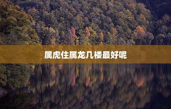 属虎住属龙几楼最好呢