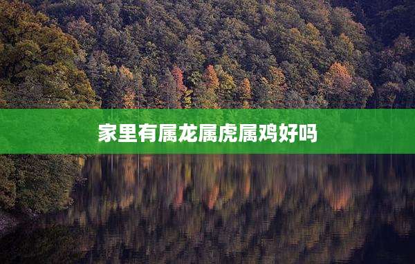 家里有属龙属虎属鸡好吗