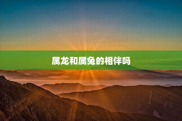 属龙和属兔的相伴吗