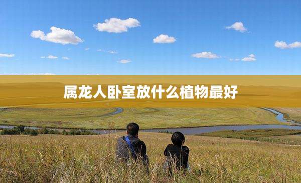 属龙人卧室放什么植物最好