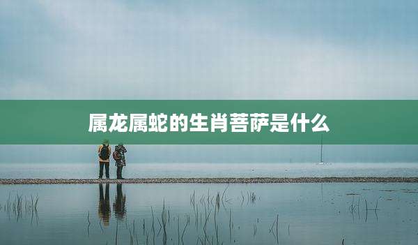 属龙属蛇的生肖菩萨是什么