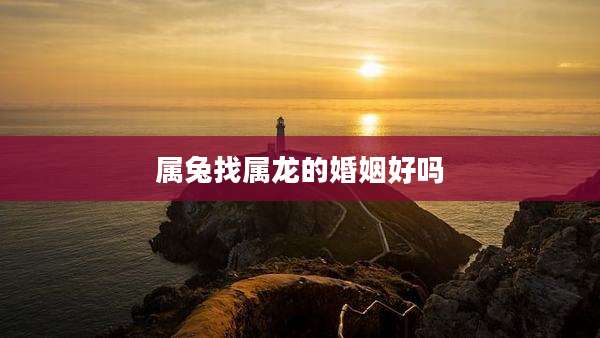 属兔找属龙的婚姻好吗