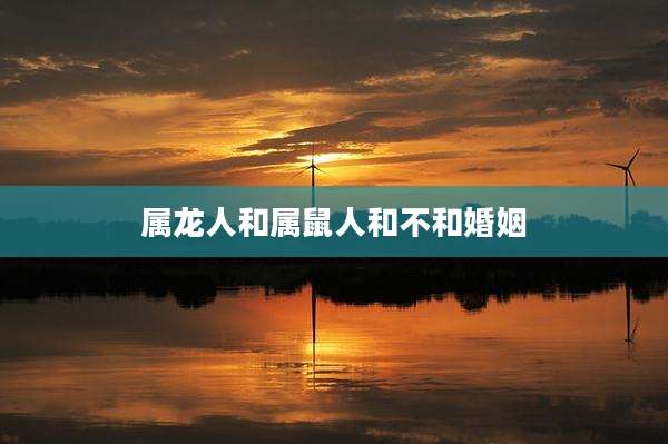 属龙人和属鼠人和不和婚姻