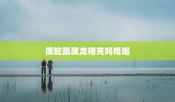 属蛇跟属龙相克吗婚姻