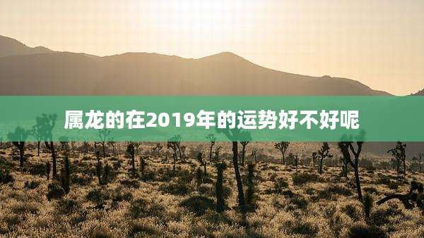 属龙的在2019年的运势好不好呢