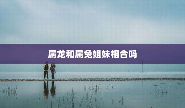 属龙和属兔姐妹相合吗