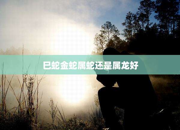 巳蛇金蛇属蛇还是属龙好