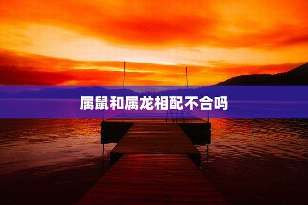 属鼠和属龙相配不合吗