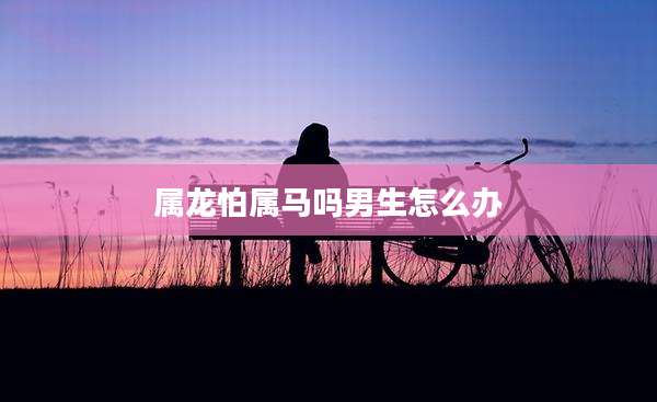 属龙怕属马吗男生怎么办