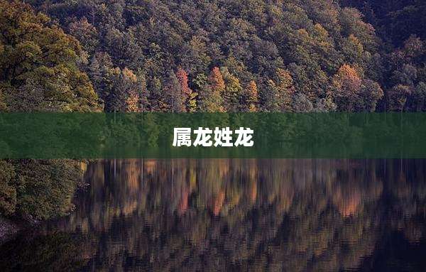 属龙姓龙
