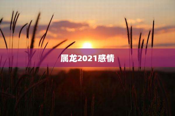 属龙2021感情
