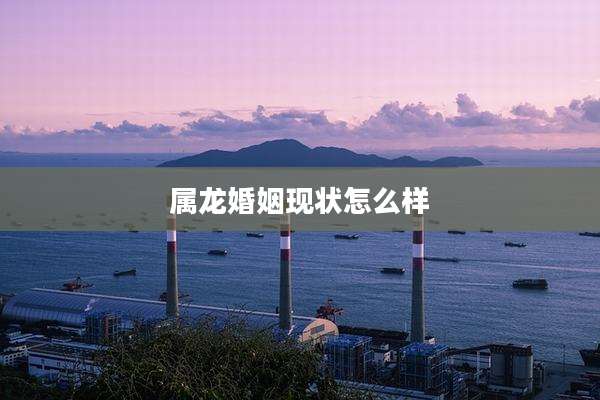 属龙婚姻现状怎么样