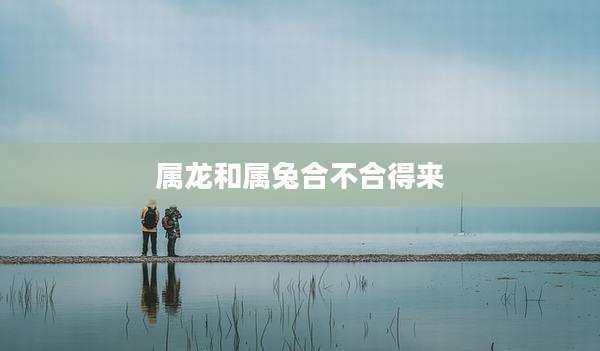 属龙和属兔合不合得来