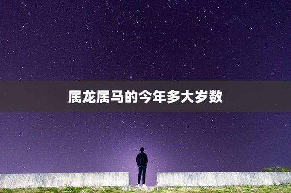 属龙属马的今年多大岁数
