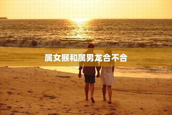 属女猴和属男龙合不合
