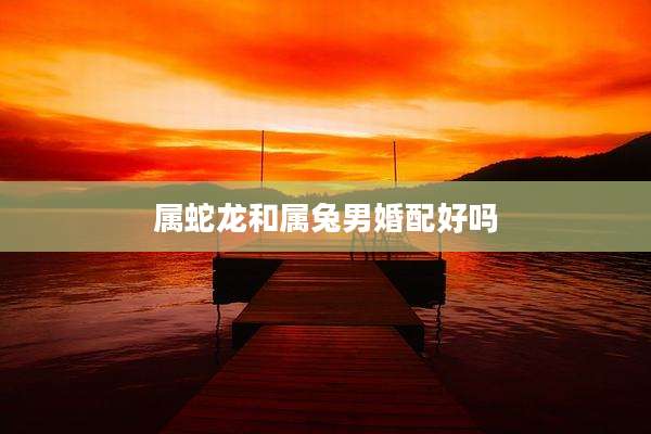 属蛇龙和属兔男婚配好吗